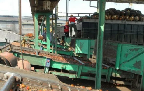 Astra Agro serta Orang tani Sawit Perkuat Keberlanjutan Komitmen