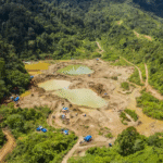Hutan Sisa Tambang Susah Dipulihkan