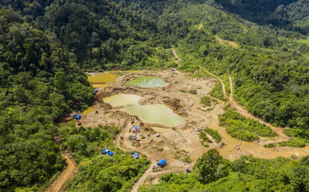 Hutan Sisa Tambang Susah Dipulihkan