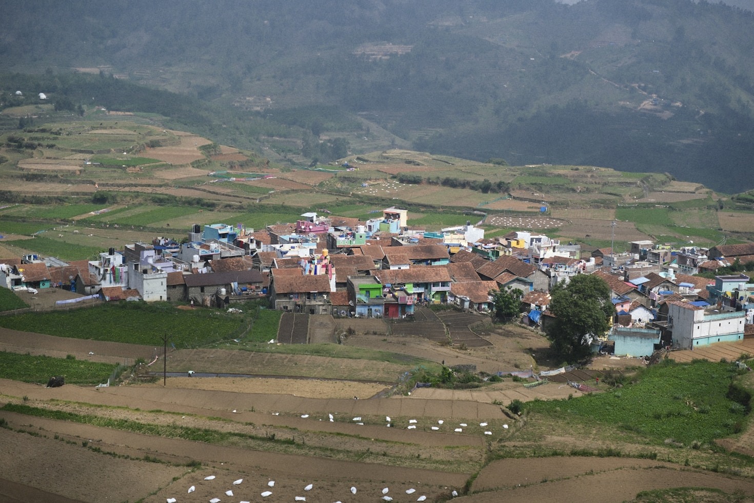 Top Hiking Trails Around Valle de Punilla