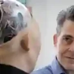 Kecerdasan Buatan Mengubah Cara Manusia Bekerja - Dalam sebagian dasawarsa terakhir, intelek ciptaan( Artificial Intelligence atau AI)