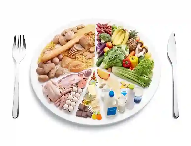 Mengatur Pola Makan Seimbang Membuat Tubuh Lebih Sehat - Melindungi kesehatan badan tidak cuma tergantung pada