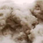 Pembongkaran Pabrik East Cannery Diumumkan Setelah Penutupan Akibat Pandemi